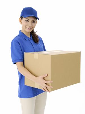 高品質な馬着の選び方とおすすめコーディネート術｜乗馬を快適に楽しむための完全ガイド