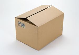 胡蝶蘭の魅力と育て方を徹底解説！お祝いに最適な高品質ギフトをご紹介