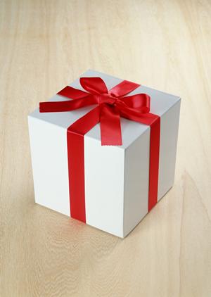 無添加ドッグフード吉岡油糧について